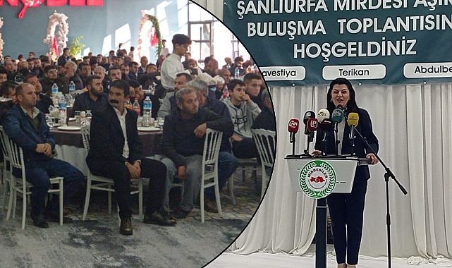 Baş Danışman Türkmenoğlu, Mirdesi Aşiretine misafir oldu