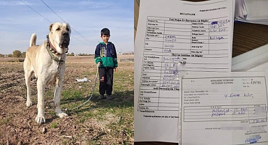 Başkan Kılıç: Mikroçip için ek süre tanınabilir