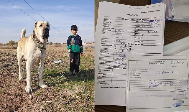 Başkan Kılıç: Mikroçip için ek süre tanınabilir