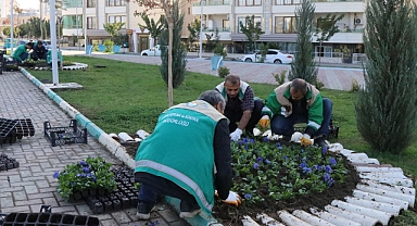 Haliliye’de peyzaj çalışmaları ile parklar yeşilleniyor 