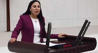 HDP’li Sürücü şiddet sorununu TBMM’ye taşıdı