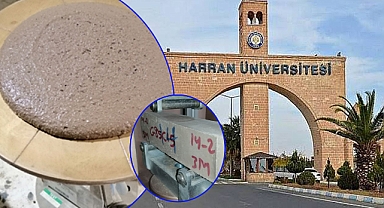 HRÜ, ‘Doğal Yeşil Beton’ üretti