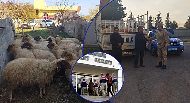 JASAT'tan nokta operasyon! Eliyle koymuş gibi buldu