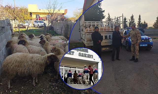 JASAT'tan nokta operasyon! Eliyle koymuş gibi buldu