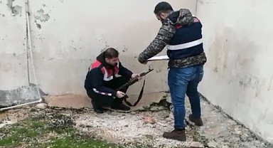 Şanlıurfa'da cinayette kullanılan silahlar ele geçirildi