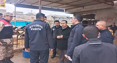 Şanlıurfa'da kaçak kesime taviz verilmeyecek