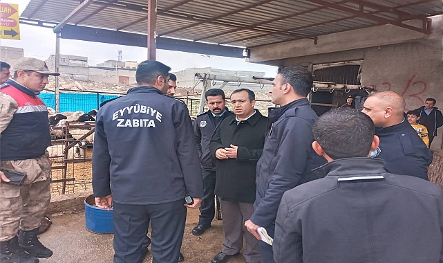 Şanlıurfa'da kaçak kesime taviz verilmeyecek