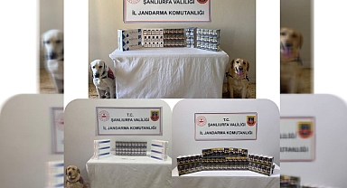 Şanlıurfa’da kaçakçılık operasyonu! 4 gözaltı