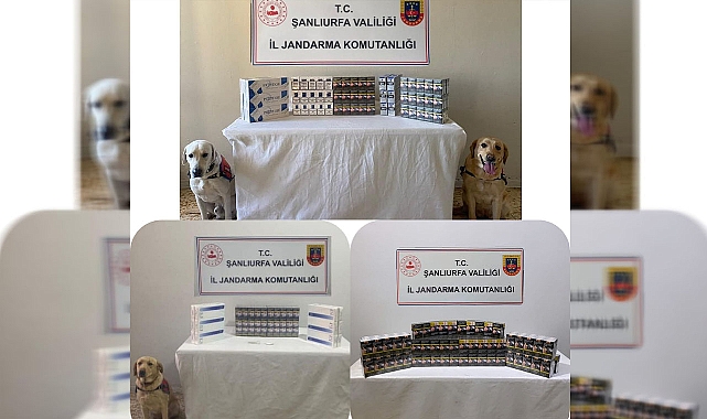 Şanlıurfa’da kaçakçılık operasyonu! 4 gözaltı