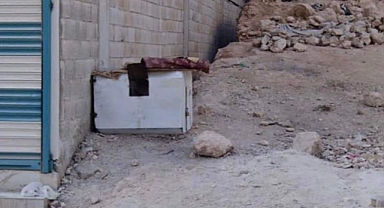 Şanlıurfa'da sokak hayvanlarına eziyet iddiası!