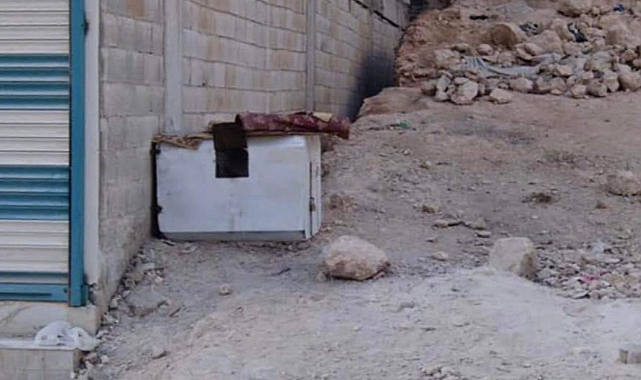 Şanlıurfa'da sokak hayvanlarına eziyet iddiası!