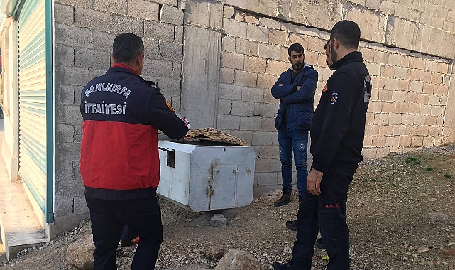 Şanlıurfa'da uygunsuz şartlarda beslenen kediler kurtarıldı