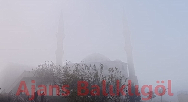 Şanlıurfa’da yoğun sis! Görüş mesafesi düştü