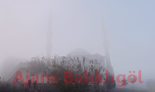 Şanlıurfa’da yoğun sis! Görüş mesafesi düştü