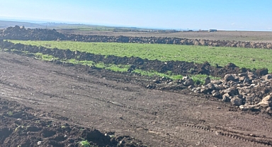 Siverek'te OSB yolu ekili arazilerden geçiriliyor!
