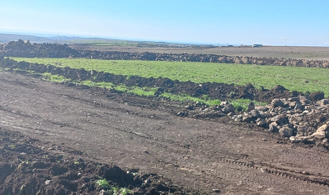Siverek'te OSB yolu ekili arazilerden geçiriliyor!