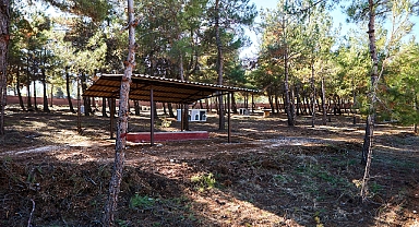 Sokak hayvanları için doğayla iç içe yaşam alanı