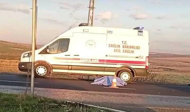 Urfa'da korkunç kaza! Belediye işçisi hayatını kaybetti 