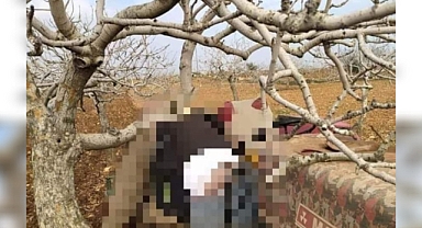 Urfa'da tarla süren çiftçinin acı sonu 