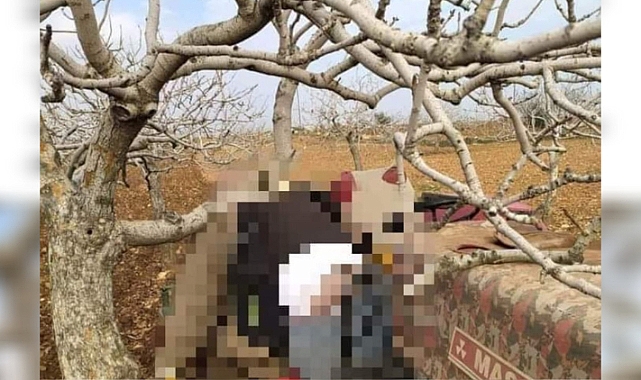 Urfa'da tarla süren çiftçinin acı sonu