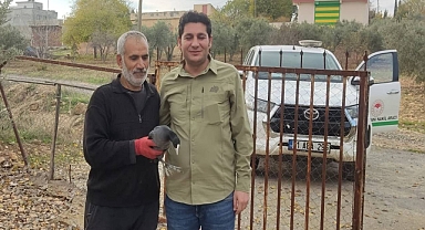 Urfa’da tedavi edildikten sonra Sakarmeke kuşu tekrar doğaya salındı