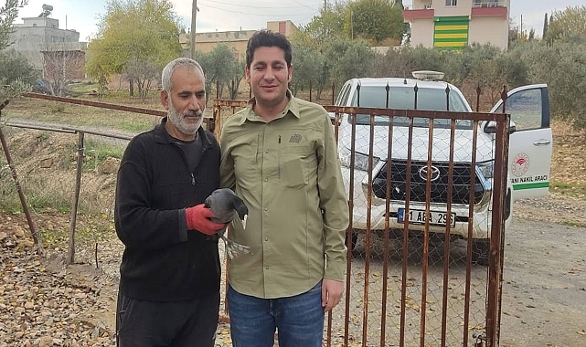 Urfa’da tedavi edildikten sonra Sakarmeke kuşu tekrar doğaya salındı