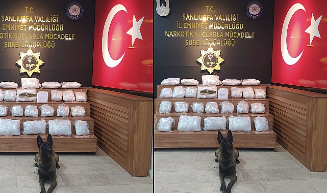Urfa’da uyuşturucu operasyonu! Paketler halinde ele geçirildi