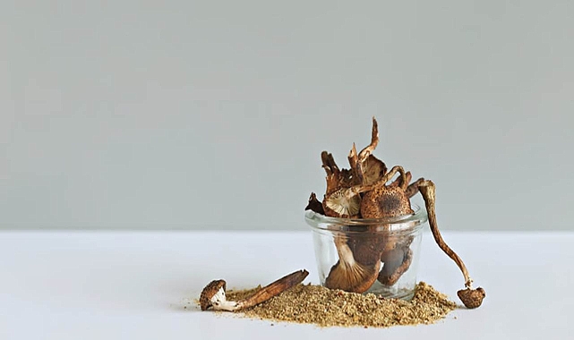 Yaşam sonu hastaları için Psychedelics: Araştırma ne diyor?