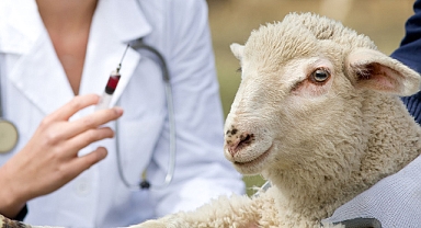 Bakanlık açıkladı! 226 milyonu aştı