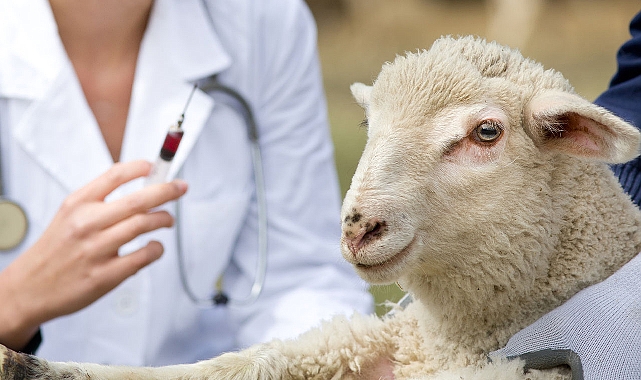 Bakanlık açıkladı! 226 milyonu aştı