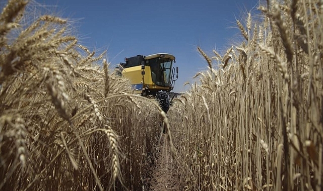 Bakanlık açıkladı! 4,8 milyar lira prim desteği sağlandı