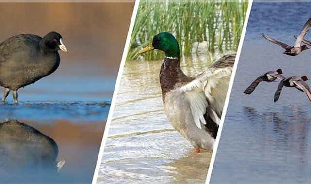 Bakanlık duyurdu! 15 Ocak'ta başlıyor