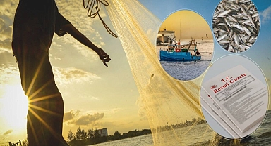 Balıkçılığın Desteklenmesi Tebliği Resmi Gazete’de