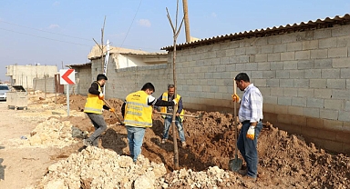Büyükşehir’den farklı bölgelerde ağaçlandırma çalışması