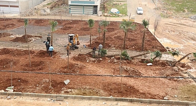 Eyyübiye Kito Deresi’nde ağaçlandırma devam ediyor 