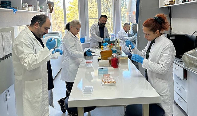 HRÜ’den Brucella konusunda iki önemli uluslararası çalışma