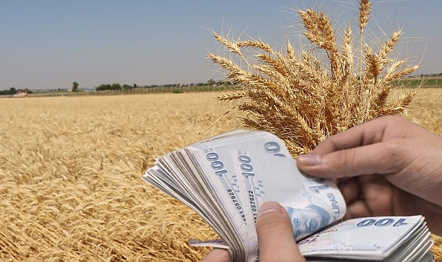 Hububat ve bakliyat fiyatları açıklandı!
