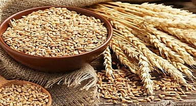 Hububat ve bakliyat fiyatları açıklandı!