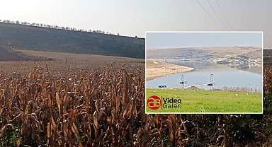 Kuraklık Fırat’ı vurdu! Çekilen suların yeri tarla oldu