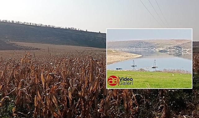 Kuraklık Fırat’ı vurdu! Çekilen suların yeri tarla oldu