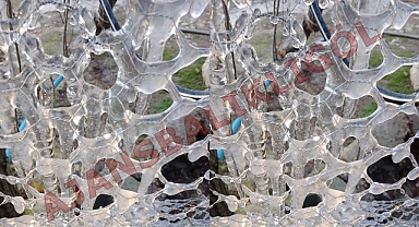 Şanlıurfa adeta dondu! Tel çitler buzla kaplandı