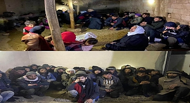 Şanlıurfa'da göçmen kaçakçılığı operasyonu! 101 gözaltı