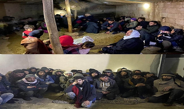 Şanlıurfa'da göçmen kaçakçılığı operasyonu! 101 gözaltı
