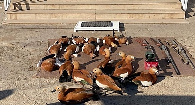 Şanlıurfa’da kaçak avcılar suçüstü yakalandı