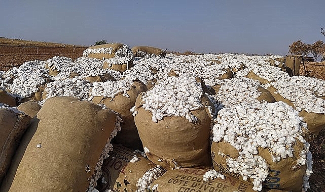Şanlıurfa’da pamuk fiyatları açıklandı