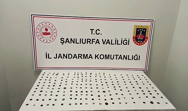 Şanlıurfa'da tarihi eser kaçakçılığı operasyonu