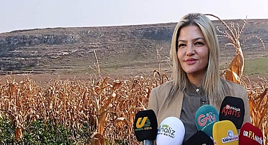 Şanlıurfa'da yaşanan kuraklık rekolteyi etkileyecek