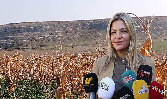 Şanlıurfa'da yaşanan kuraklık rekolteyi etkileyecek