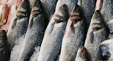 Su ürünleri avcılığına sıkı denetim