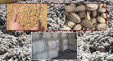 Urfa, Adana, İzmir ve Gaziantep Borsalarında tarım ürünleri fiyat listesi yayımlandı